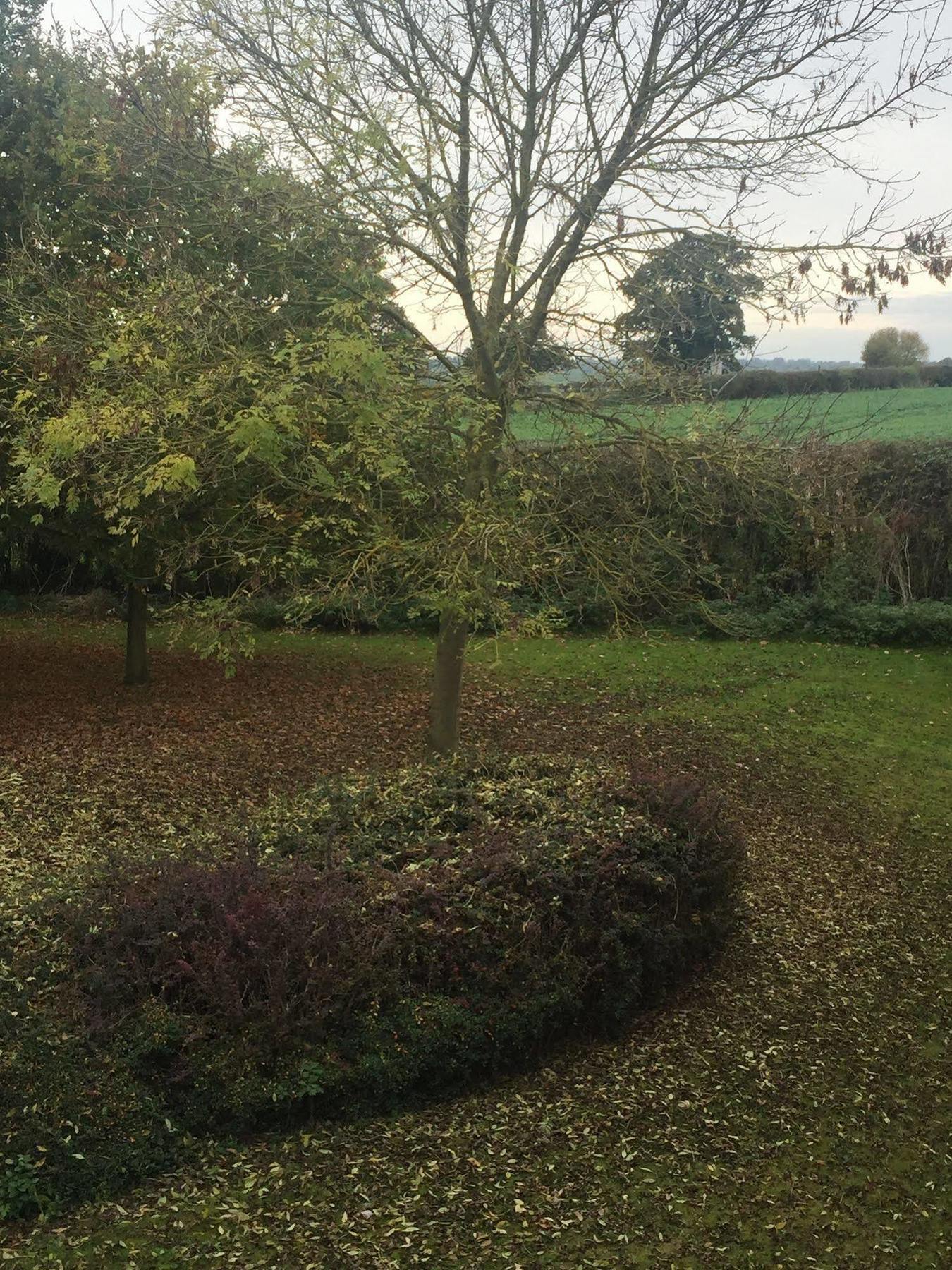 Redwings Lodge Rutland Uppingham Εξωτερικό φωτογραφία